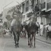 Police in Eveleigh Street, Redfern